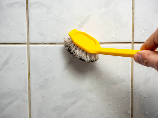 Best White Mold Remediation in Liolnton, NC