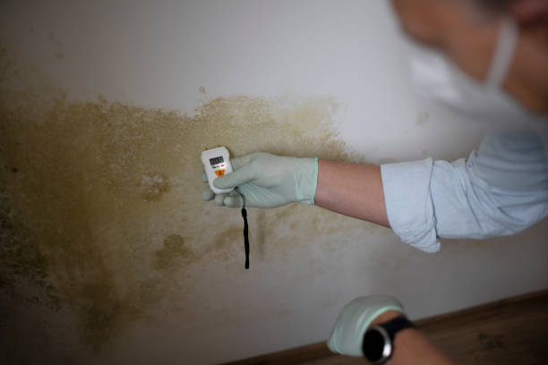 Lincolnton, NC Mold Remediation Company