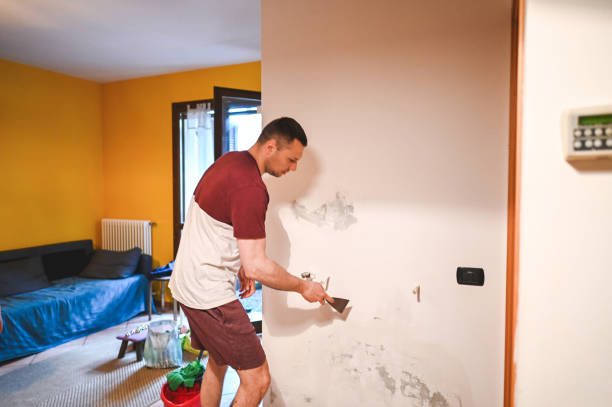 Best Health and Safety Mold Remediation in Liolnton, NC