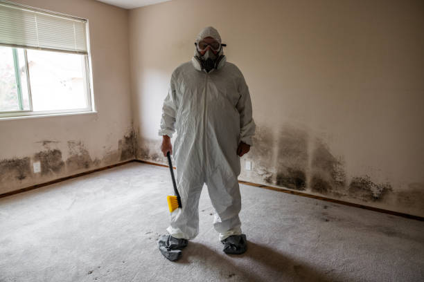 Best Mold Remediation for Specific Building Types in Liolnton, NC